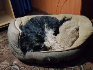 received_238028350477204