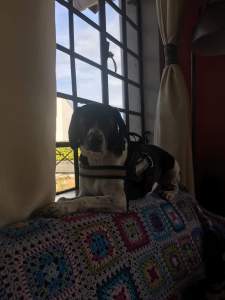 received_695444194230997