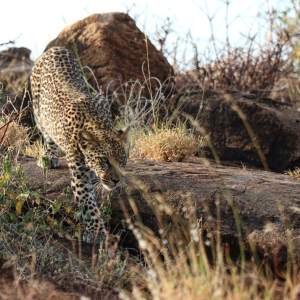 66619990_10162166276950531_1179831300077387776_n