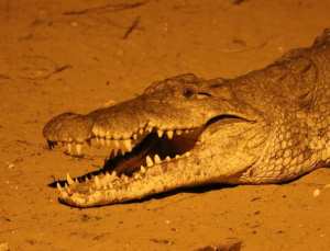 67243139_10162175929035531_1496168461905166336_o