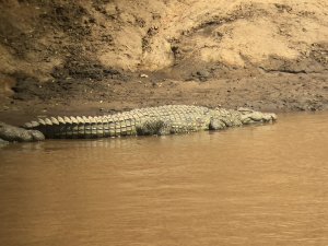 68290662_10156685159898666_408939478523052032_o