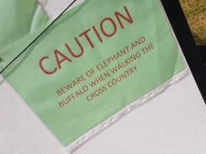 38472406_10156107868229930_6716317755512979456_n