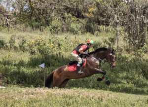 74495718_10162731714595531_1067373723234861056_o