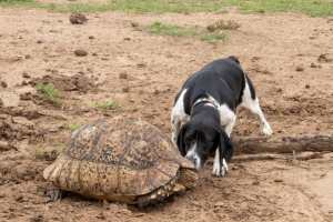 75362264_10162628864965531_1594612002842476544_o