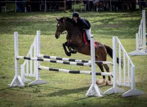 75429411_10162731714835531_8586307285960097792_o