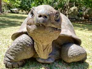 78925857_10162844921490531_9202292474804961280_o