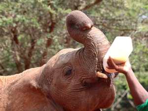 82361226_10163022981515531_6695804368937025536_o