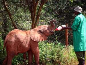 82651300_10163022980280531_3972075704840880128_o