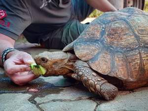 82788205_10163022981335531_5234370046288986112_n