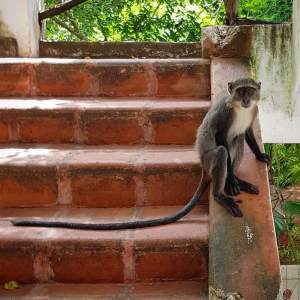 83304226_10163046299265531_6961729304883363840_n