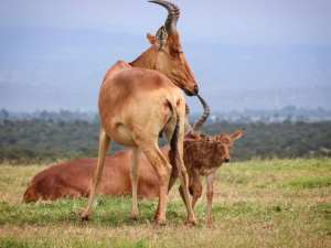 83340393_10163022980950531_8406767881936699392_o