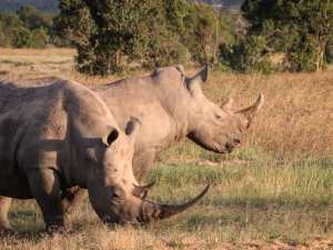 83378948_10163022980795531_3810279966063460352_o