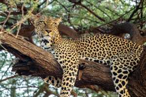 89517483_10163329336955531_6408417691865972736_o