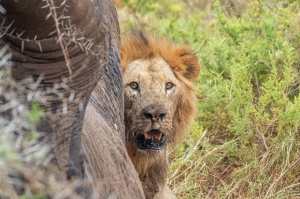 89706507_10163329336095531_2943333537396293632_o