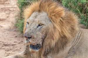 89766429_10163329336685531_308643793068883968_o