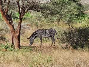 89881271_10156695521685855_7393028975854878720_n