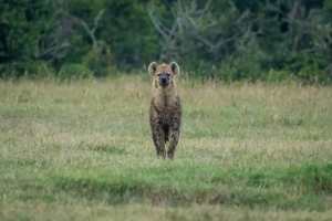 89912393_10163329336445531_3481456917694382080_o