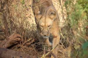 89993274_10163329336185531_5982564236994281472_o