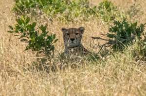 90037631_10163329336570531_1350672617937305600_o