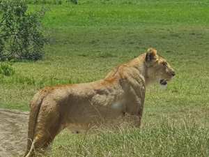 90343333_10156695499320855_8148859034296909824_n