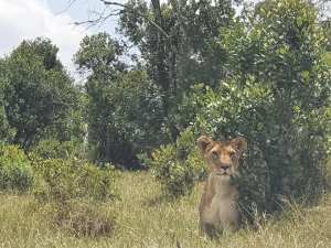 90347685_10156695499125855_5043526962652381184_n