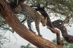 90542396_10163329336835531_7484086933979660288_o