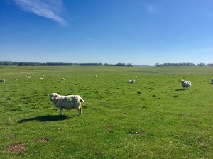 94498113_2893437437404040_4919980037949620224_o