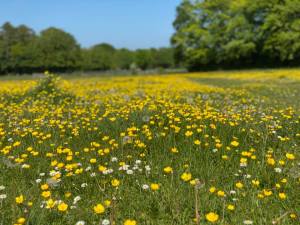 95854820_10158103667946206_1391954516441563136_n