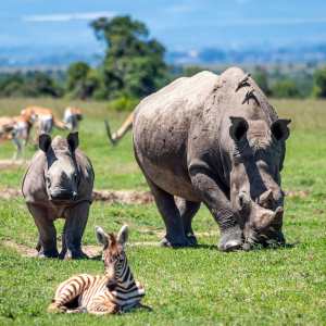 96367789_10163698188525531_2569912957374824448_o