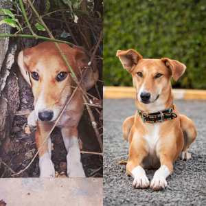 103073203_10163872338440531_7722207623901549335_o