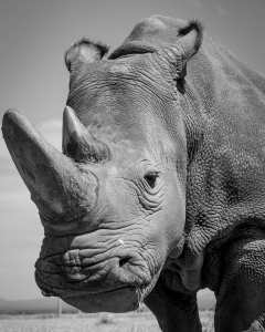 106732287_10163991718715531_7336433688607965363_o